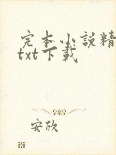 完本小说精校版txt下载