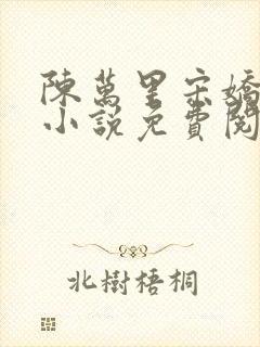 陈万里宋娇娇的小说免费阅读全文最新章节