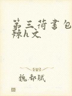 第三荷书包网高辣h文