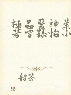 极品医神叶辰夏若雪孙怡小说