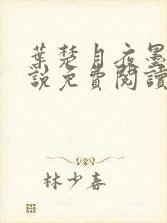 叶楚月夜墨寒小说免费阅读完结版