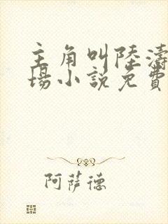 主角叫陆涛的官场小说免费阅读