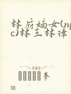 林府嫡女(npc)林玉林璋
