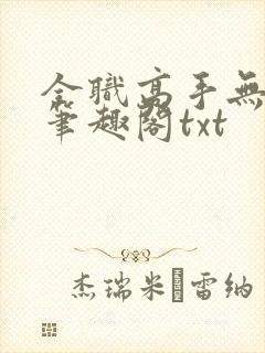 全职高手无弹窗笔趣阁txt封面
