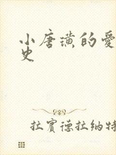 小唐璜的爱情历史封面
