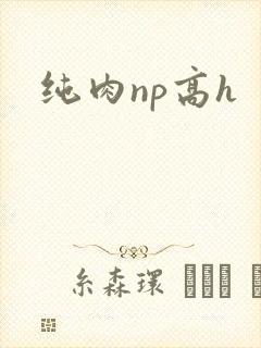 纯肉np高h