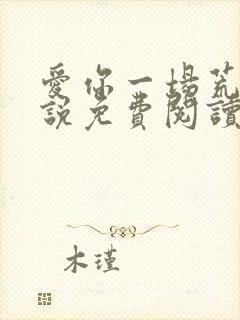 爱你一场荒凉小说免费阅读笔趣阁