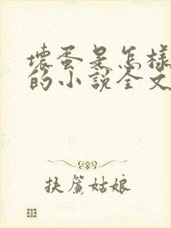 坏蛋是怎样炼成的小说全文免费阅读下载