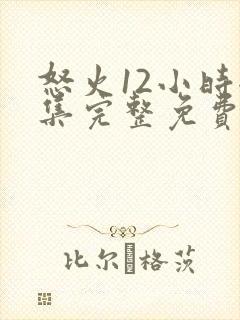 怒火12小时全集完整免费观看高清