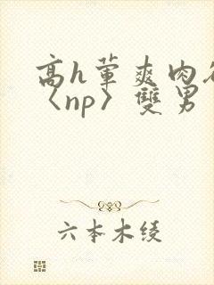 高h荤爽肉欲文〈np〉双男