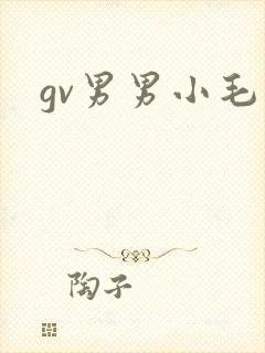 gv男男小毛片