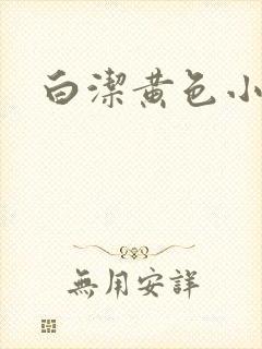 白洁黄色小说