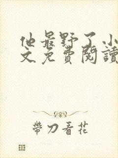 他最野了小说全文免费阅读无弹窗