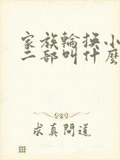 家族轮换小说第二部叫什么名字封面