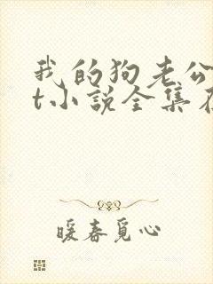 我的狗老公txt小说全集在线阅读封面