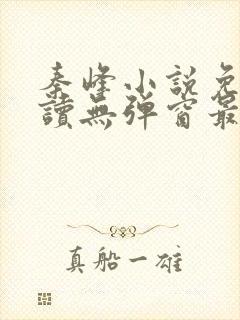 秦峰小说免费阅读无弹窗最新章节封面