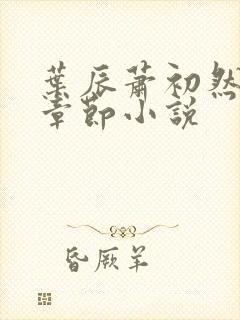 叶辰萧初然最新章节小说