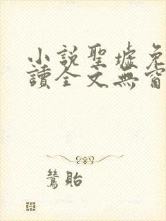 小说圣墟免费阅读全文无窗口