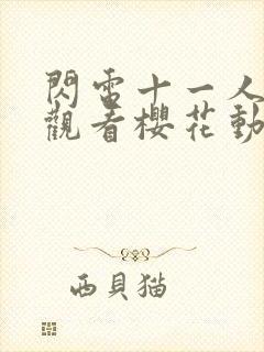 闪电十一人在线观看樱花动漫