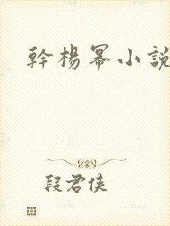 干杨幂小说封面