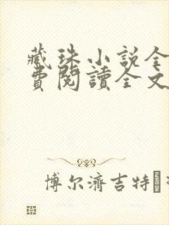 藏珠小说全文免费阅读全文