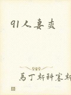 91人妻爽封面