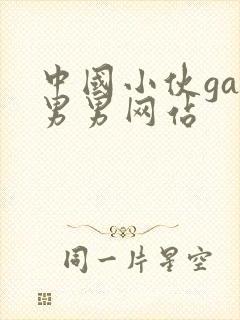 中国小伙gay男男网站封面