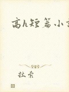 高h短篇小说封面