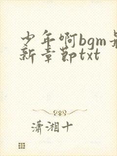 少年啊bgm最新章节txt