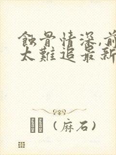 蚀骨情深,前妻太难追最新版封面