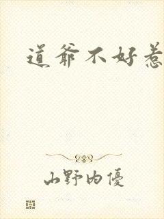 道爷不好惹封面