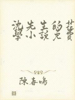 沈先生的花式教学小说免费封面