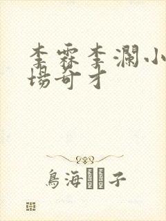 李霖李澜小说官场奇才