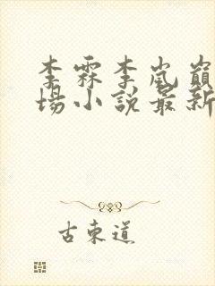 李霖李岚巅峰官场小说最新章节更新