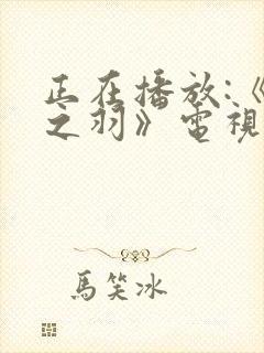 正在播放:《云之羽》电视剧高清免费