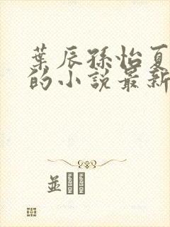 叶辰孙怡夏若雪的小说最新