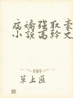 病娇强取豪夺的小说高干文