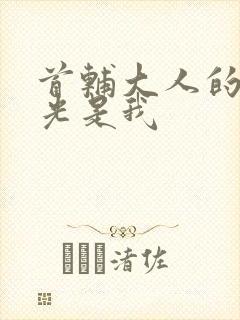 首辅大人的白月光是我封面