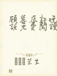 顾慕辰许晚音小说免费阅读最新章节