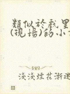 类似于戏里戏外(现场)的小说