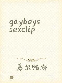 gayboyssexclip