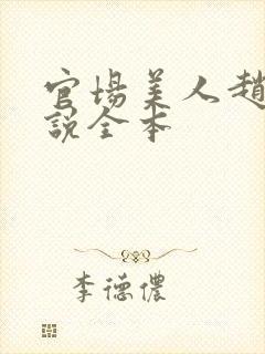 官场美人赵燕小说全本