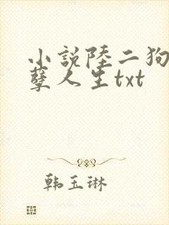 小说陆二狗的妖孽人生txt
