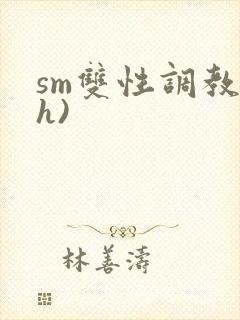 sm双性调教(h)