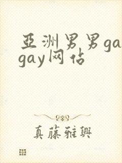 亚洲男男gaygay网站