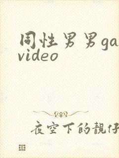 同性男男gayvideo