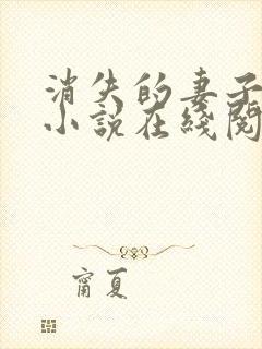 消失的妻子素素小说在线阅读封面