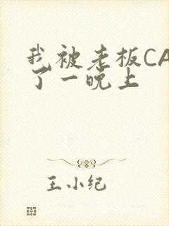 我被老板CAO了一晚上