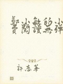 郑小敏的小说免费阅读无弹窗封面