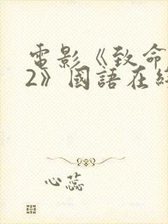 电影《致命黑兰2》国语在线播放